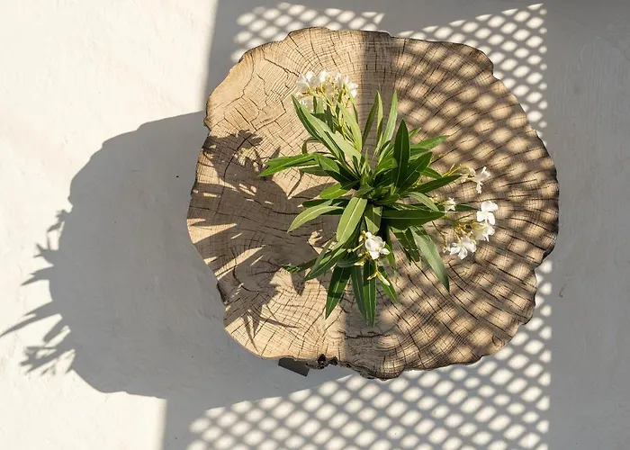 别墅 Icos 赫索尼索斯