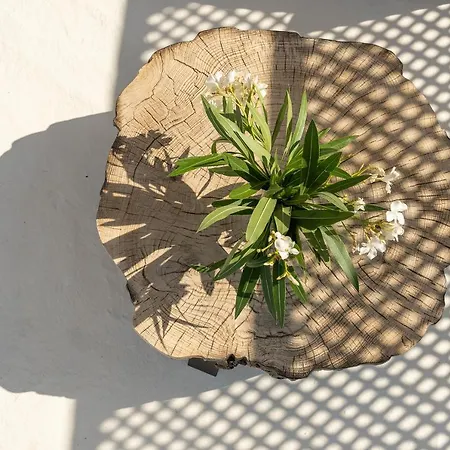 Villa Icos Hersonissos (Crete)